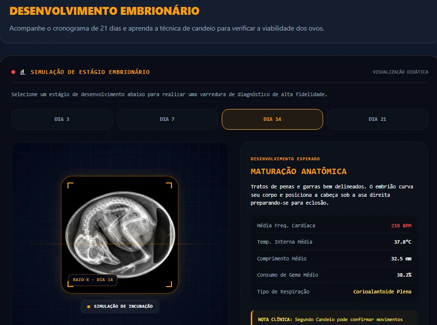 Plataforma - Foto 2